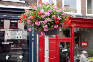 hanging baskets winkelcentrum florabasket