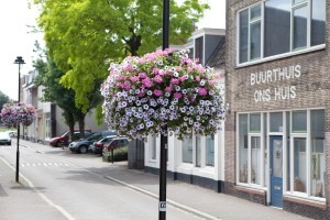 buurt wijk hanging baskets