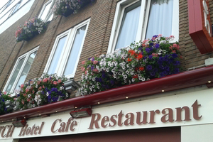 horeca hanging basket florabasket