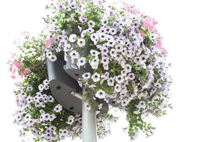 hanging basket florabasket arnhem