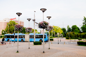 hanging baskets van Florabasket 3