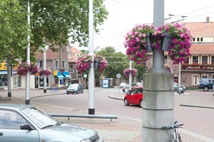 winkelcentrum hanging baskets florabasket